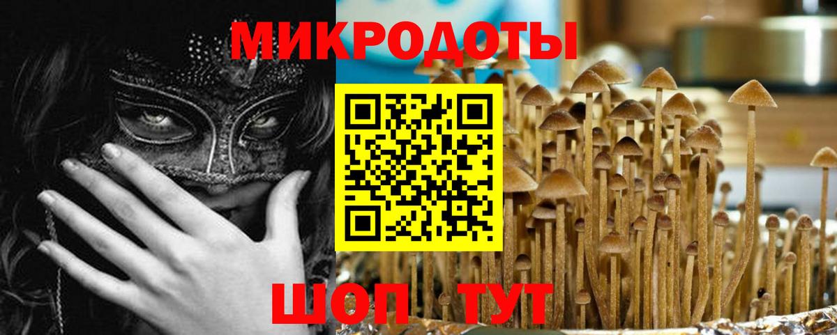 Тейково  где купить наркотик  Вход с VPN  Псилоцибиновые грибы Magic Shrooms 